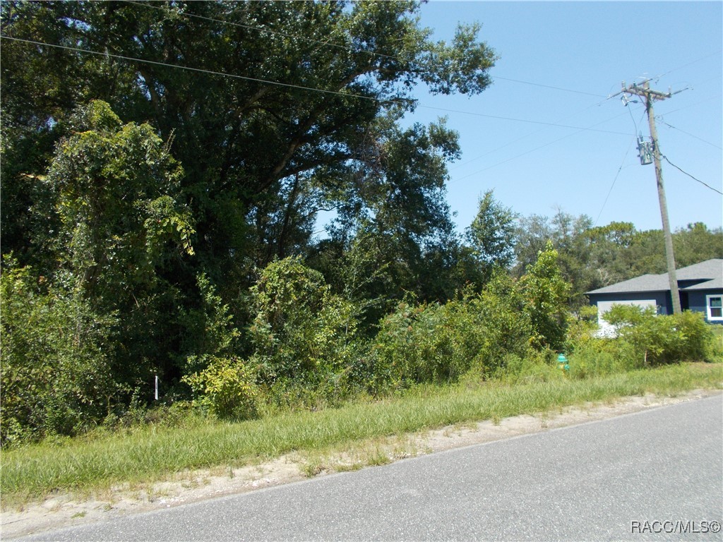 Inverness, Florida 34453, United States, ,Land,Active,73222