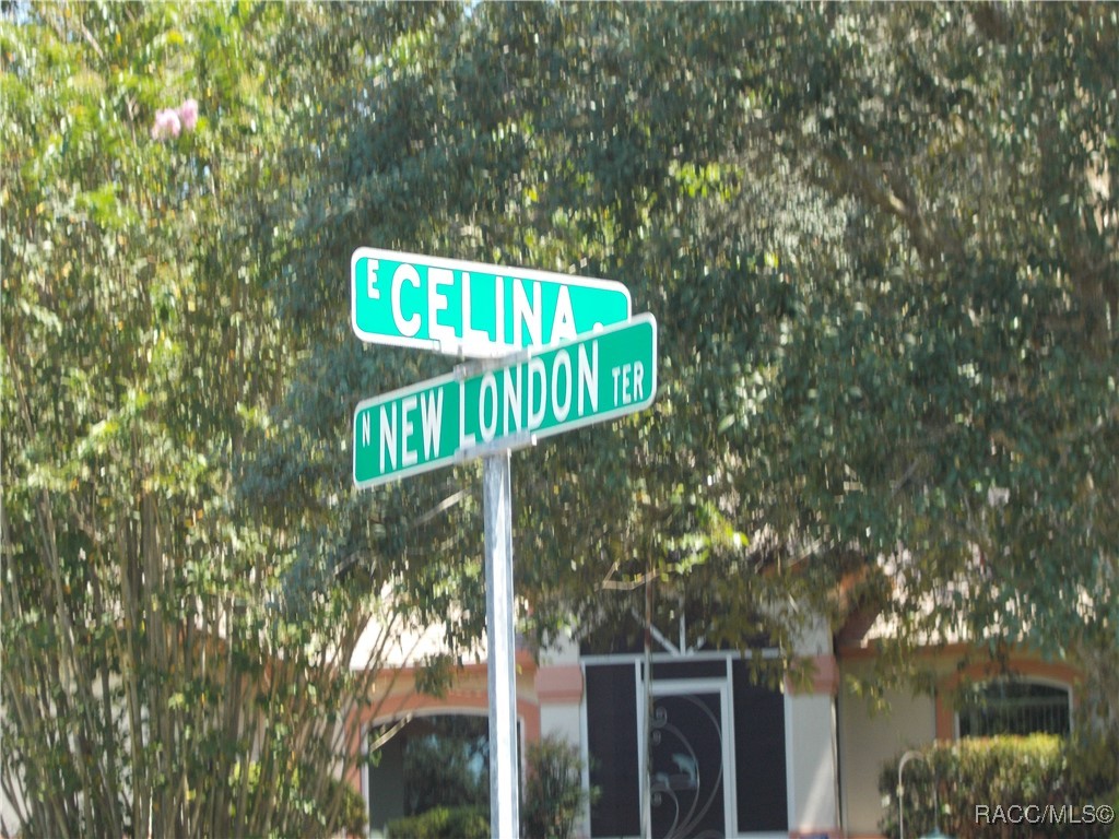 Inverness, Florida 34453, United States, ,Land,Active,73222