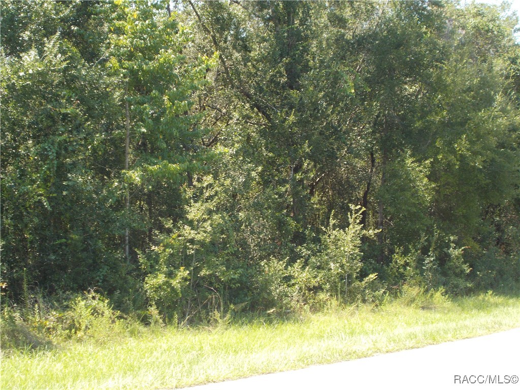 Inverness, Florida 34453, United States, ,Land,Active,73222