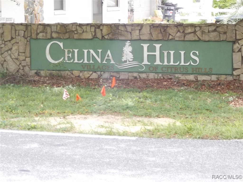 Inverness, Florida 34453, United States, ,Land,Active,73222