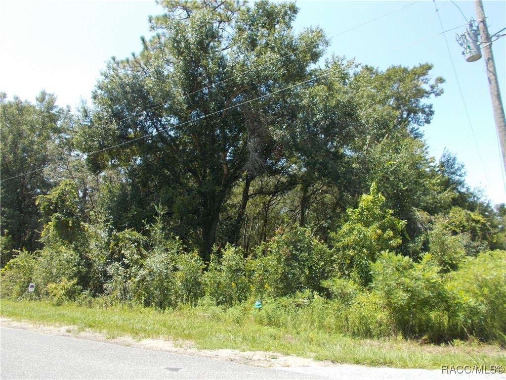 Inverness, Florida 34453, United States, ,Land,Active,73222