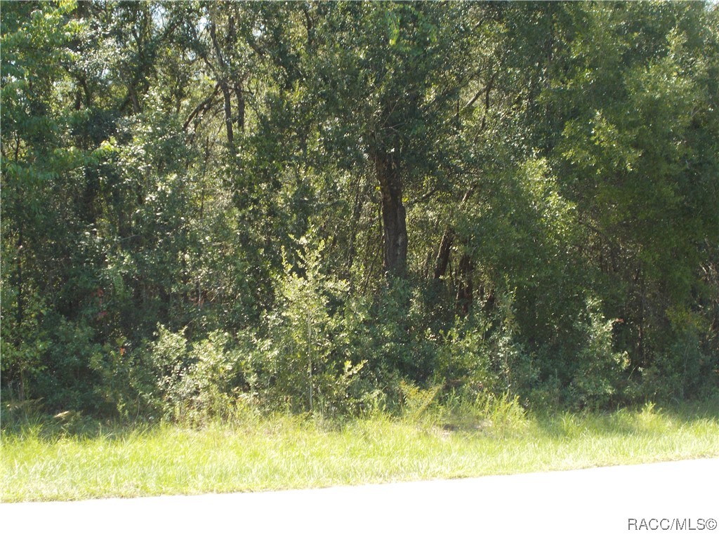 Inverness, Florida 34453, United States, ,Land,Active,73222