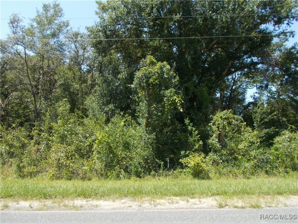 Inverness, Florida 34453, United States, ,Land,Active,73222