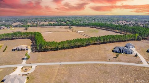 Vacant Land For Sale - 374 N Lake Shenandoah Loop<br/> Inverness, FL 34453