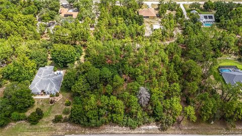 4347 W Pansy Lane Beverly Hills FL 34465