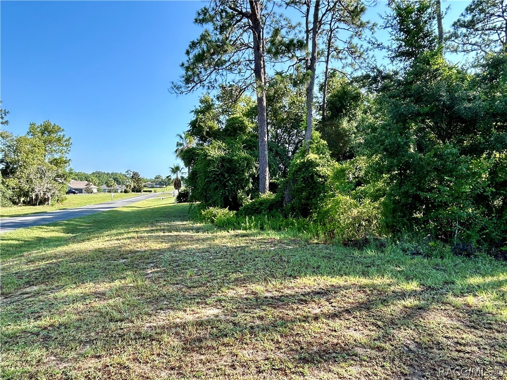 947 N Man O War Drive, Inverness, Florida image 4