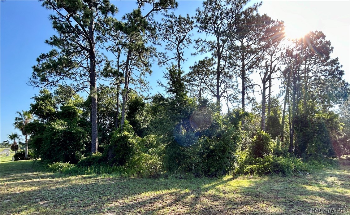 947 N Man O War Drive, Inverness, Florida image 3