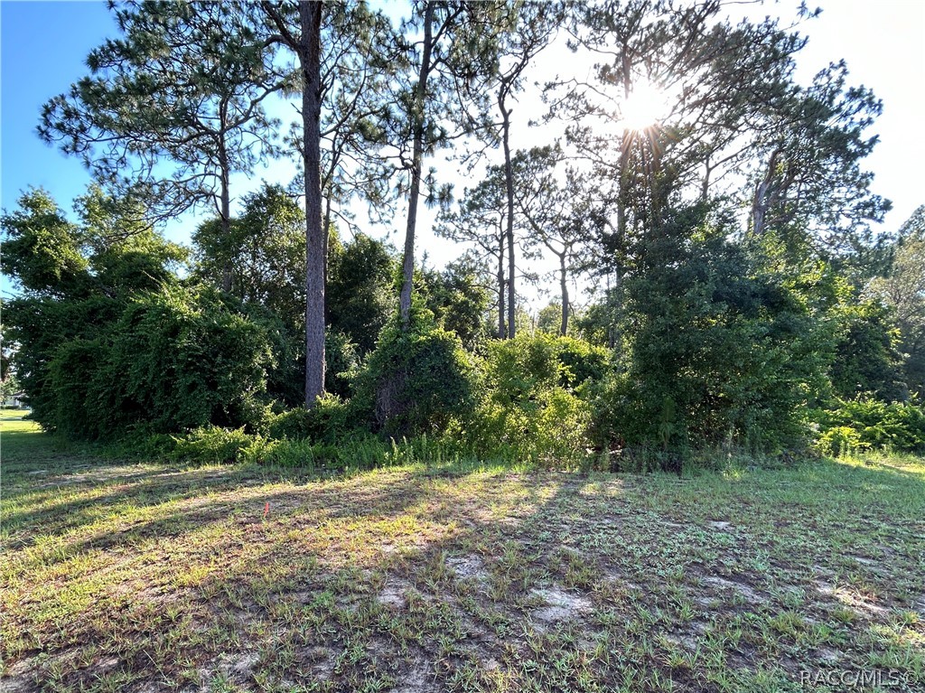 947 N Man O War Drive, Inverness, Florida image 1