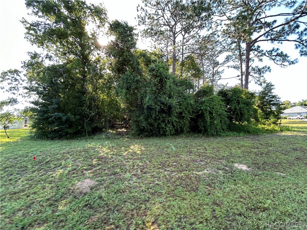 947 N Man O War Drive, Inverness, Florida image 5