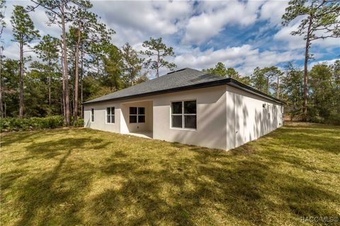 A home in Dunnellon