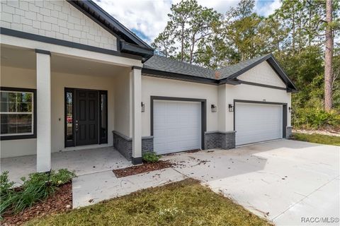 A home in Dunnellon