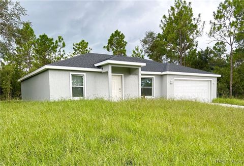 A home in Citrus Springs