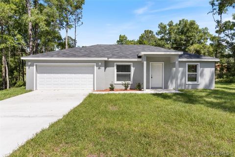 A home in Citrus Springs