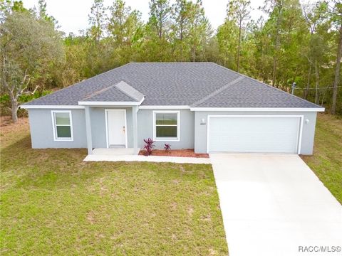 A home in Citrus Springs