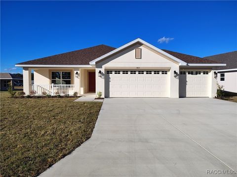 405 WOOD STORK Trail Inverness FL 34453