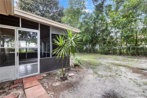 A home in Citrus Springs