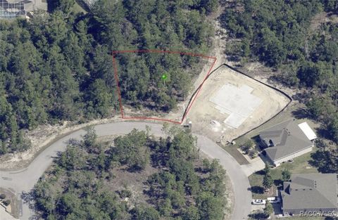 Vacant Land For Sale - 19 Rudbeckia Court<br/> Homosassa, FL 34446