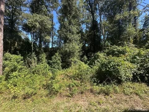 Vacant Land For Sale - 3553 S Dover Terrace<br/> Citrus County, Inverness, FL 34452