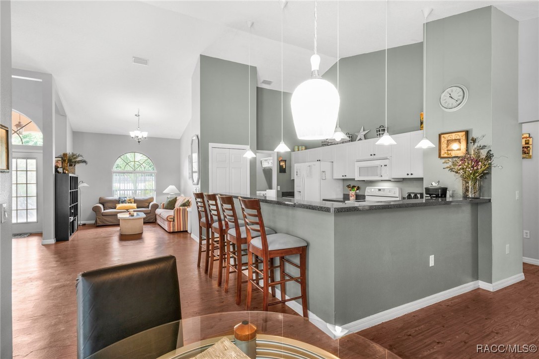 1265 N Timucuan Trail, Inverness, New York image 13