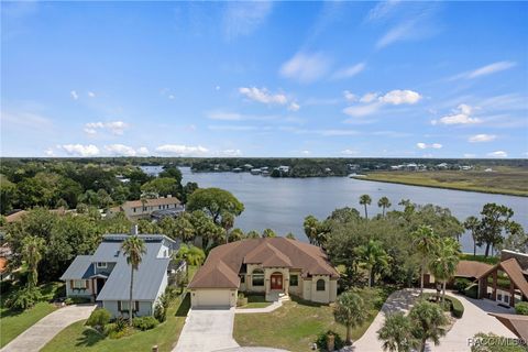 5267 S Stetson Point Drive Homosassa FL 34448