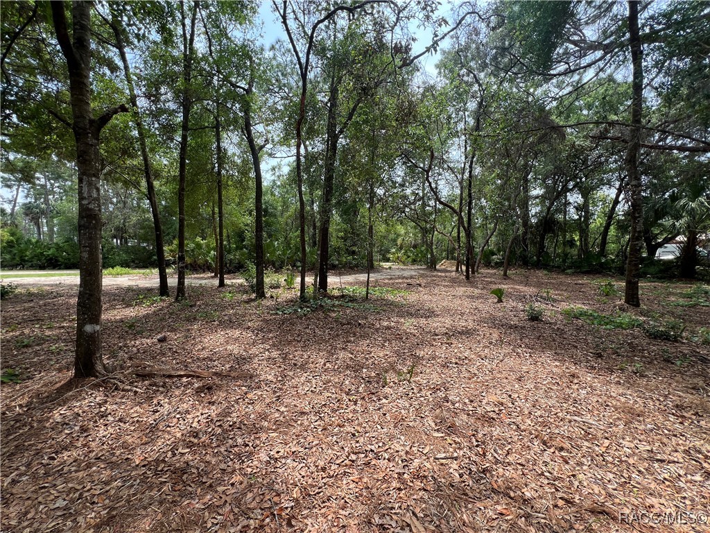 8181 W Tracy Point, Homosassa, New York image 10