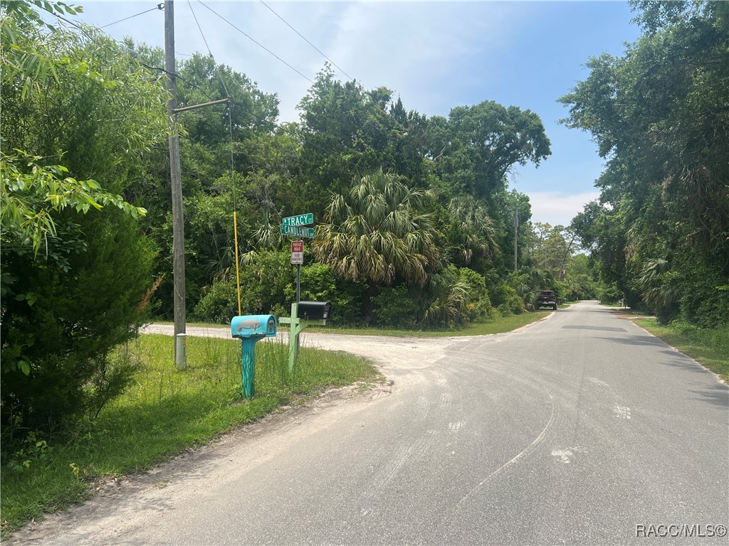 8181 W Tracy Point, Homosassa, New York image 2
