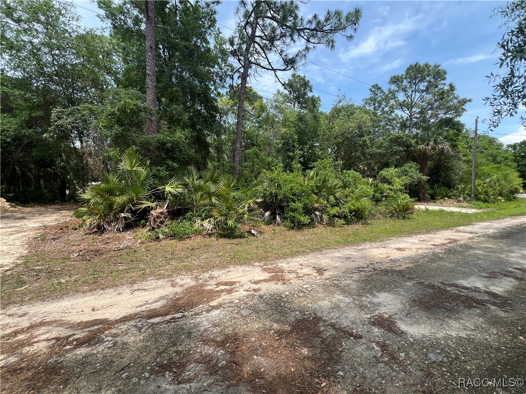 8181 W Tracy Point, Homosassa, New York image 6