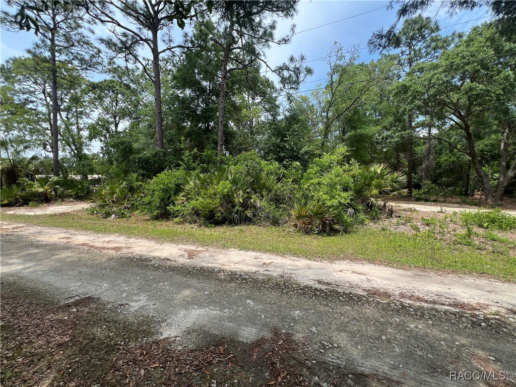 8181 W Tracy Point, Homosassa, New York image 5