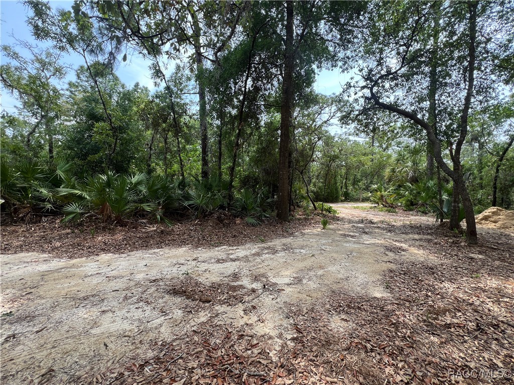 8181 W Tracy Point, Homosassa, New York image 8