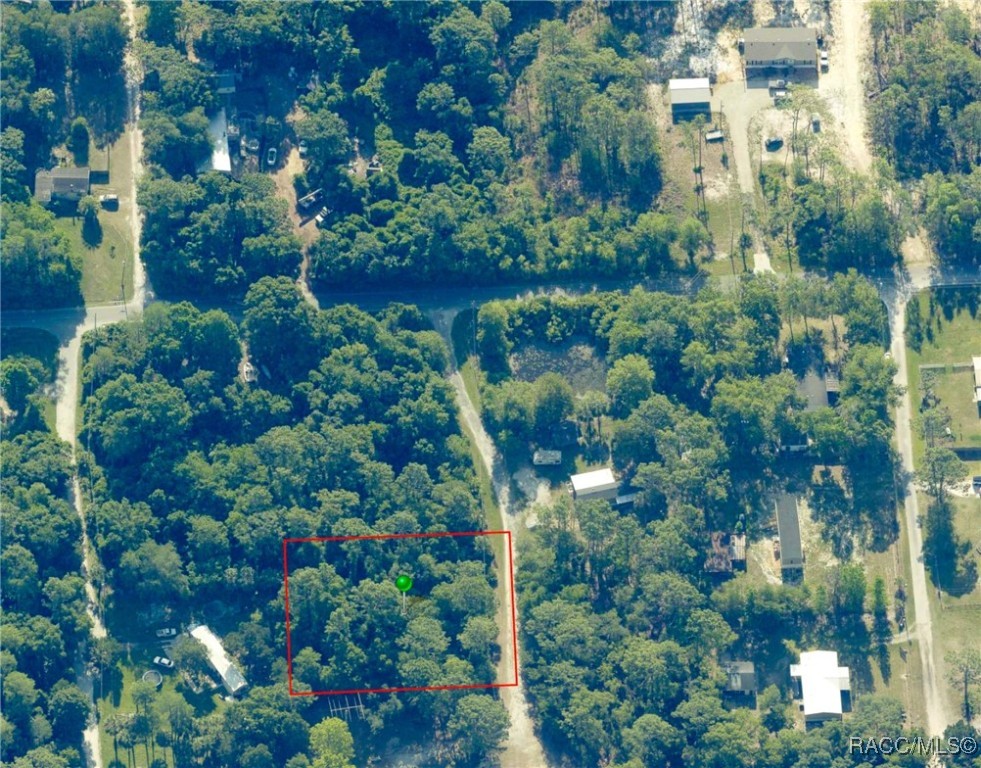 8181 W Tracy Point, Homosassa, New York image 14