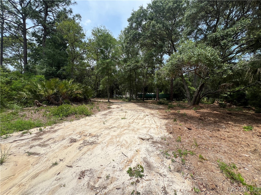 8181 W Tracy Point, Homosassa, New York image 4