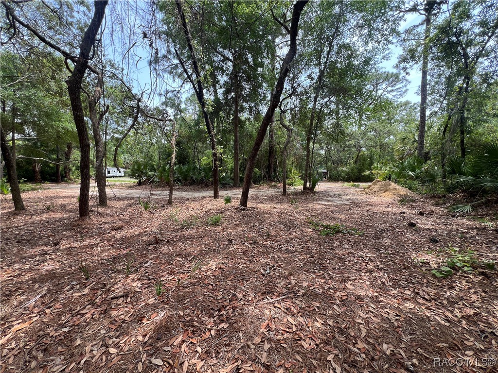 8181 W Tracy Point, Homosassa, New York image 9