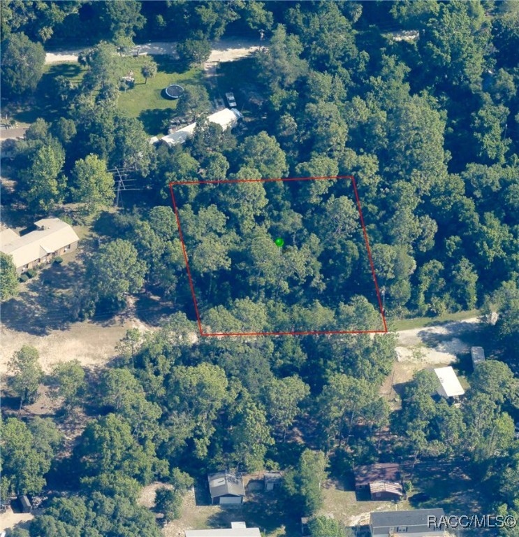 8181 W Tracy Point, Homosassa, New York image 15