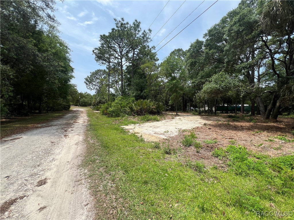 8181 W Tracy Point, Homosassa, New York image 3