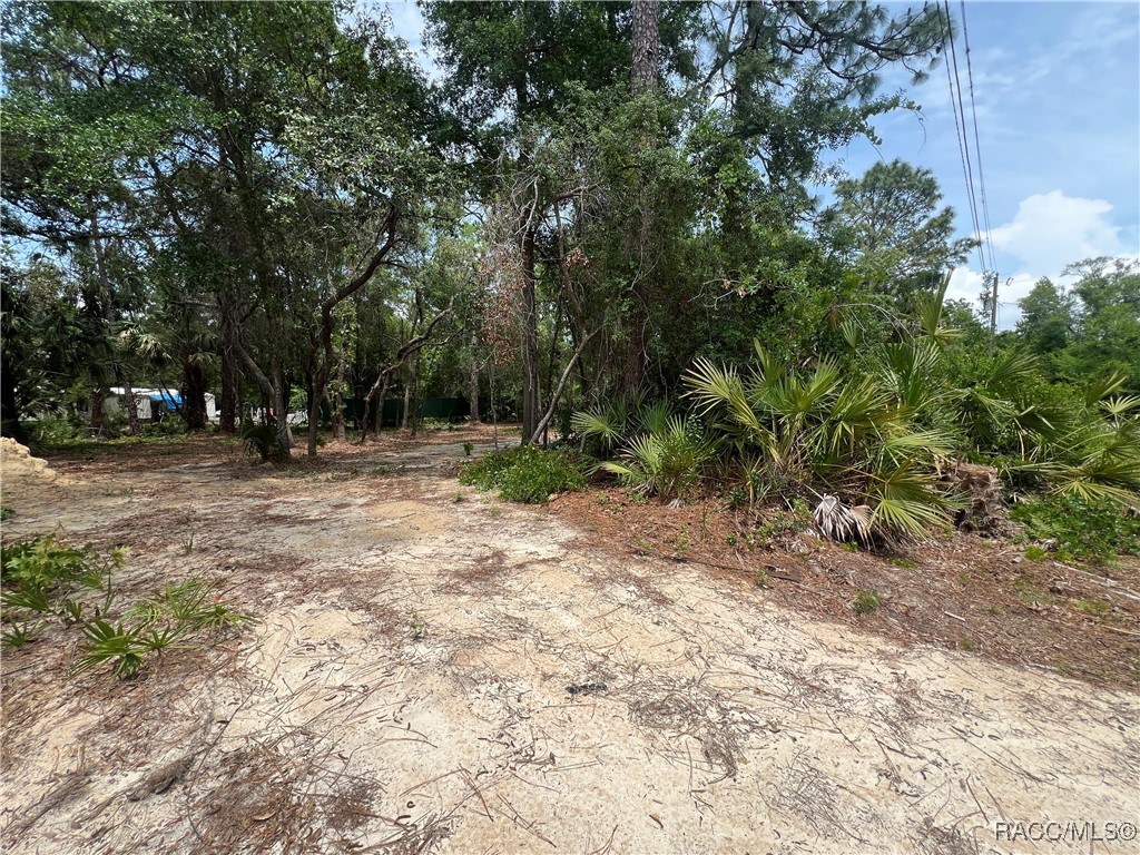 8181 W Tracy Point, Homosassa, New York image 7