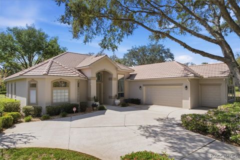3156 N Caves Valley Path Lecanto FL 34461