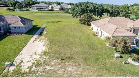Vacant Land For Sale - 191 W Mickey Mantle Path<br/> Hernando, FL 34442