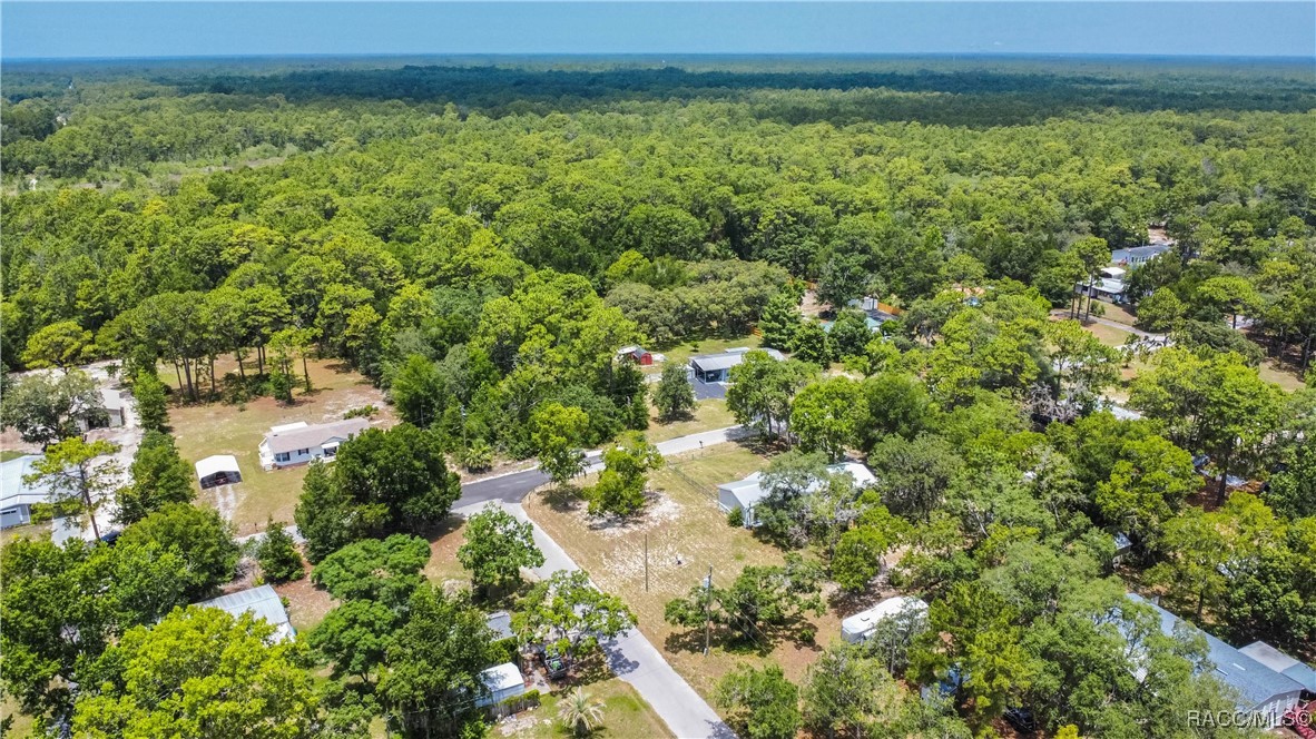 2181 S Sunwood Point, Homosassa, New York image 38