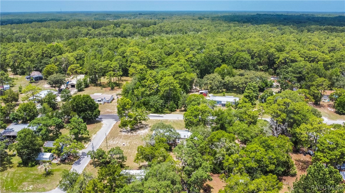 2181 S Sunwood Point, Homosassa, New York image 39