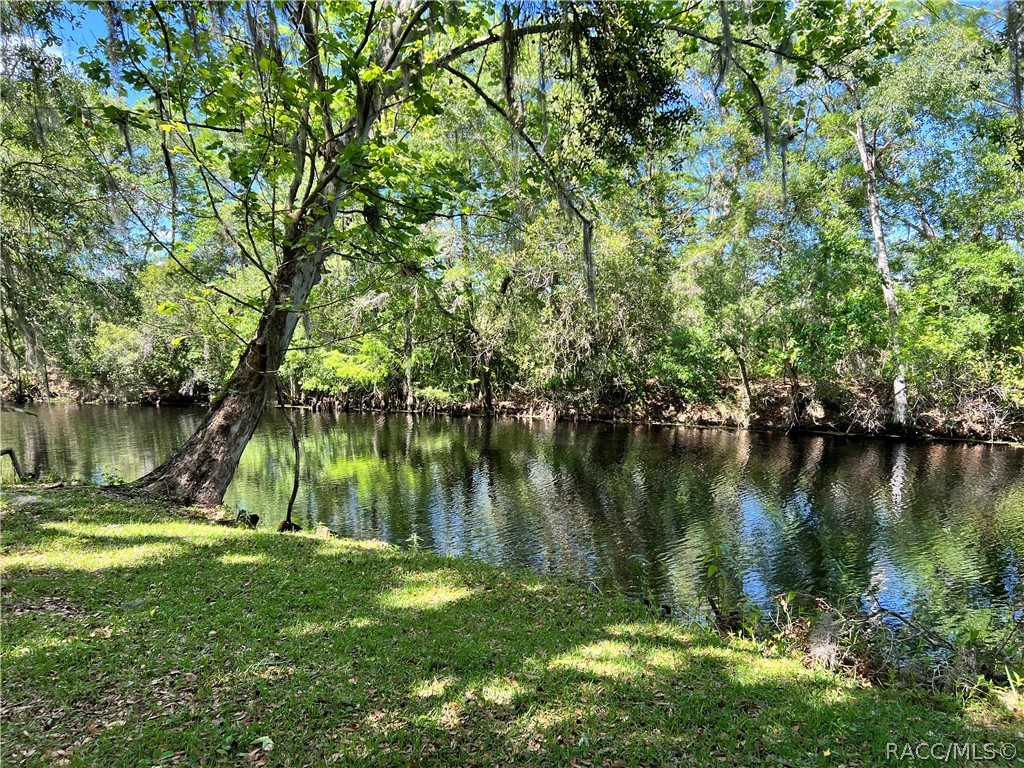 6725 S Whippoorwill Circle, Floral City, Florida image 2