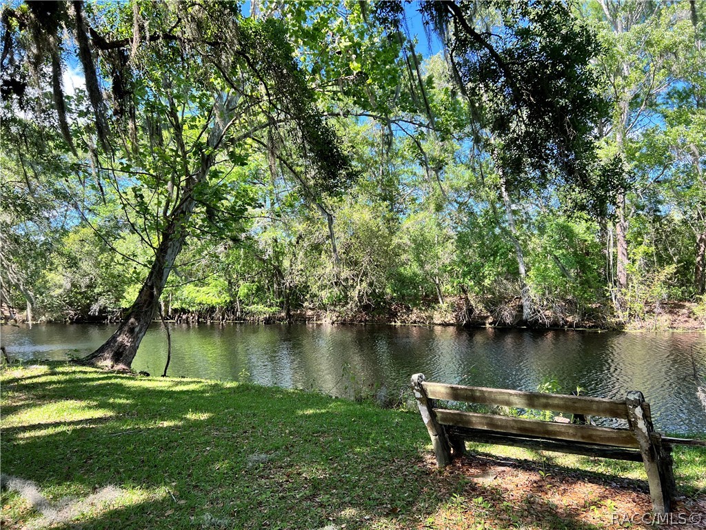 6725 S Whippoorwill Circle, Floral City, Florida image 3