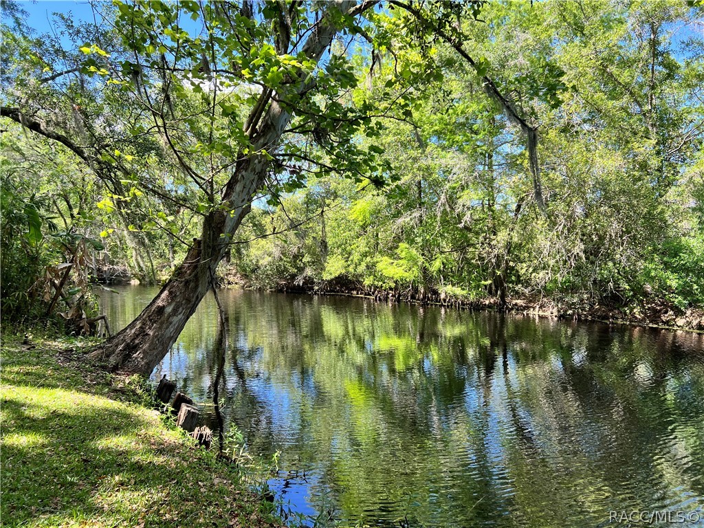 6725 S Whippoorwill Circle, Floral City, Florida image 5