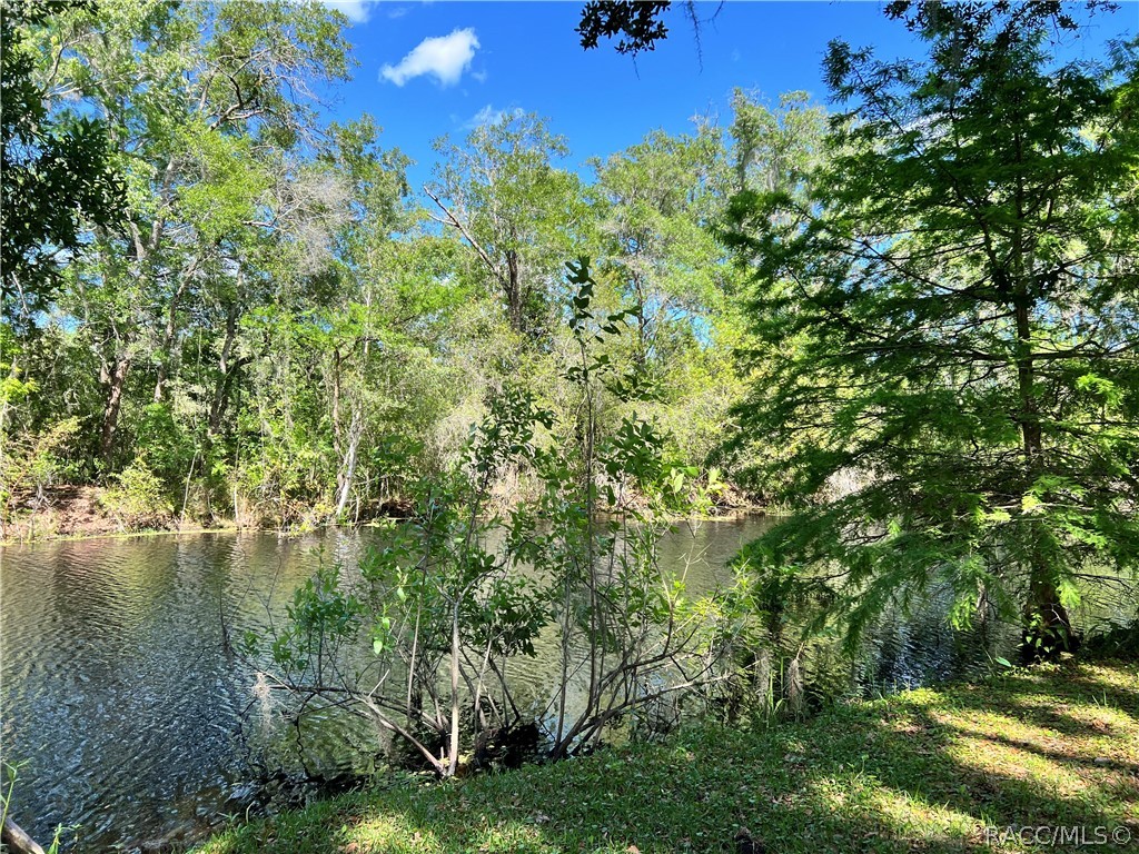 6725 S Whippoorwill Circle, Floral City, Florida image 31