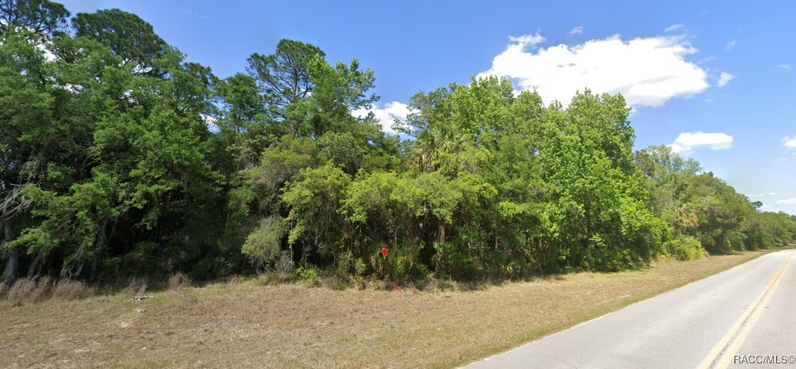 11175 W State Park Street, Crystal River, Florida image 1