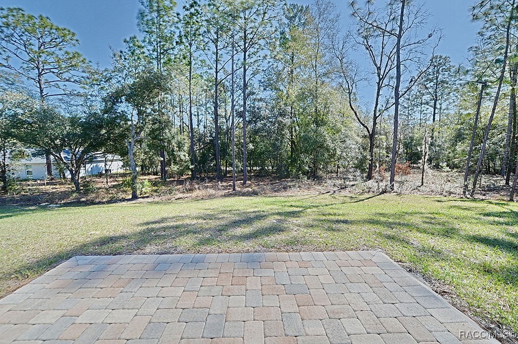 9693 N Wayland Avenue, Citrus Springs, Florida image 29