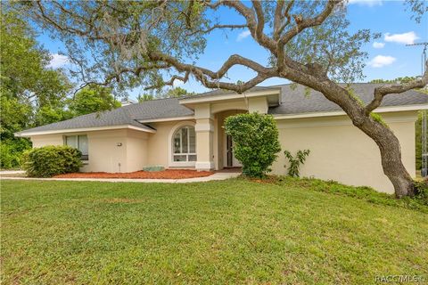 A home in Homosassa