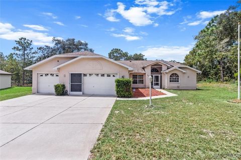 A home in Homosassa