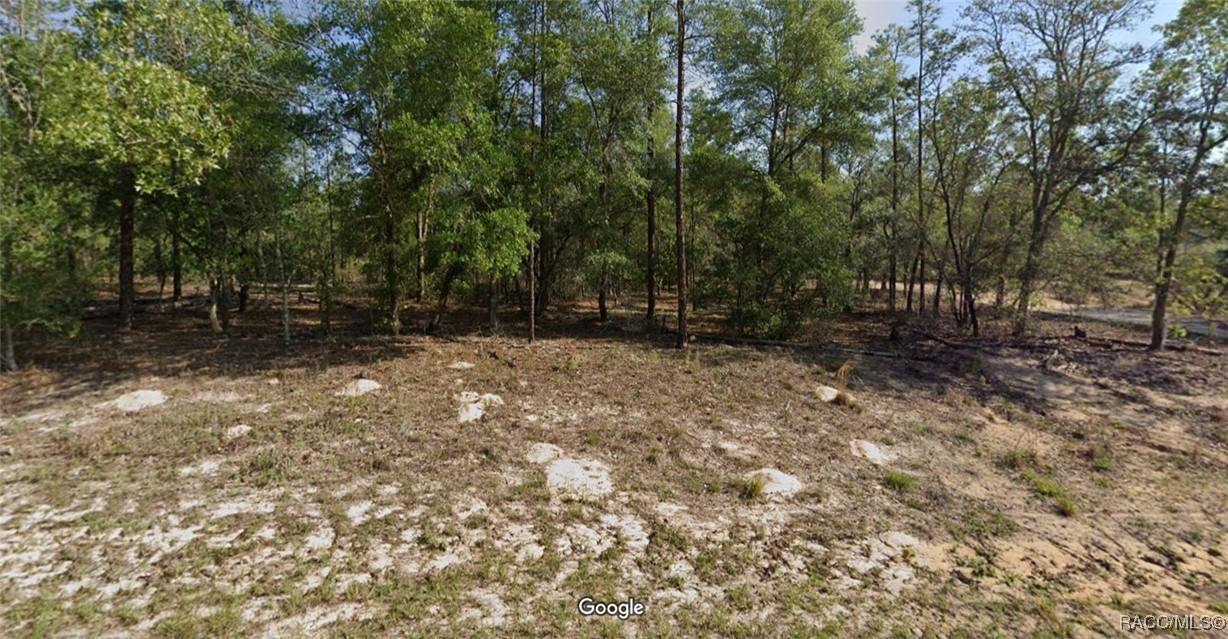 657 E Bimini Drive, Dunnellon, New York image 1