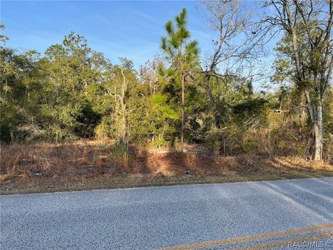 Vacant Land For Sale - LOT 11 SW Half Moon Drive<br/> Dunnellon, FL 34431