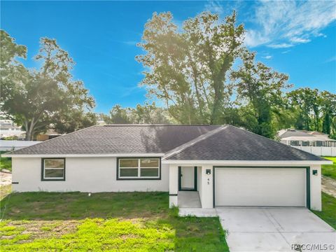 Homes For Sale - 45 N Independence Highway<br/> Inverness, FL 34453
